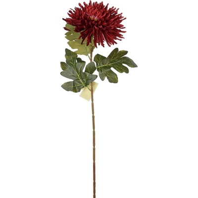 KS CHRYZANTÉMA BORDO 71CM