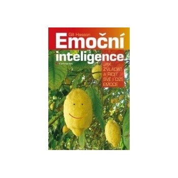Emoční inteligence