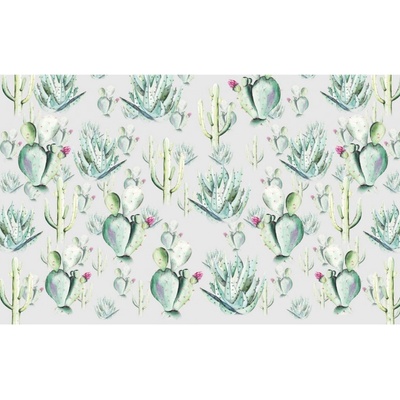 Komar Vliesová fototapeta Cactus Grey rozměry 400 x 250 cm