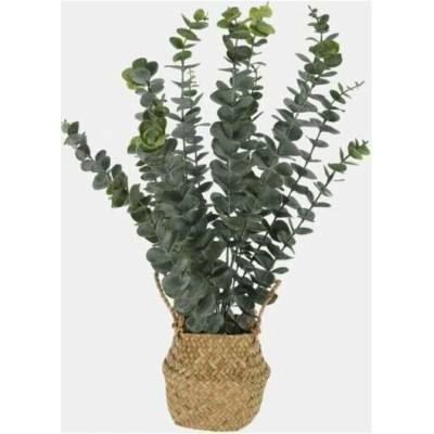 Umělý eukalyptus v košíku, 50 cm