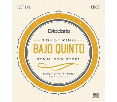D'Addario EJS85