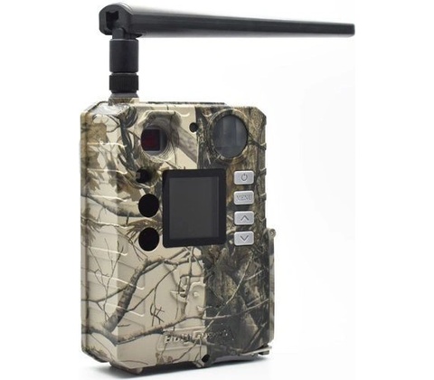 BolyGuard BG310-M