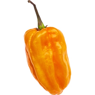 Need For Seed Chilli Habanero Sweet Yellow semena 10 ks