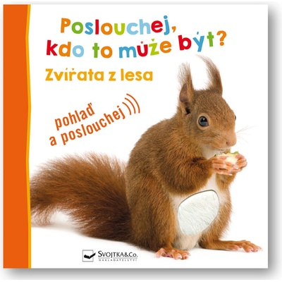 Poslouchej, kdo to může být? Zvířata z lesa