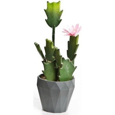 Kaktus v kvetináči 03365 27cm ružový