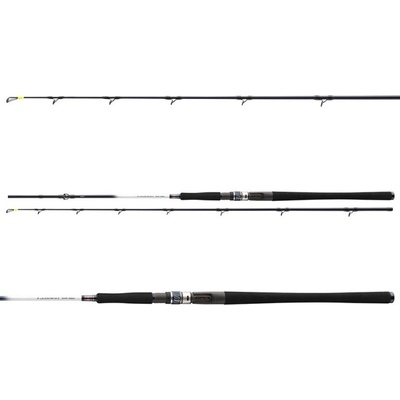 Daiwa Grandwave Halibut 2,25 m 30-40 g 2 Diely