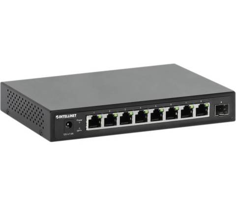 Intellinet 562096