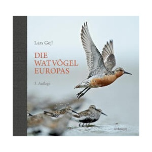 Die Watvögel Europas | Kirsten Nutto, Martina Wiese (ISBN: 9783258083919)
