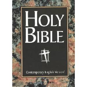 Large Print Easy-reading Bible | American Bible Society (ISBN: 9781585160044)