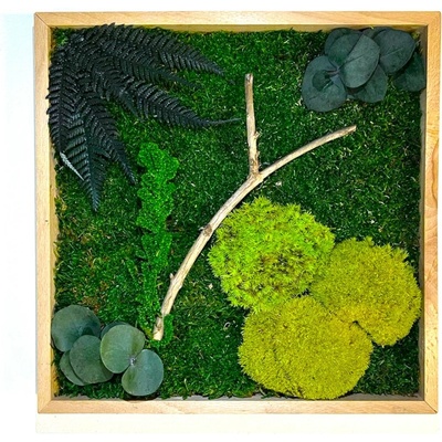 Machový obraz mini s rastlinami Veľkosť: 35x25cm