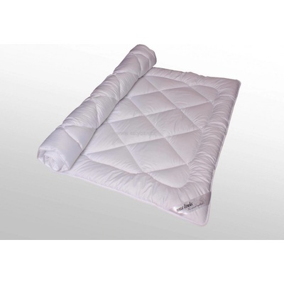 2G Prikrývka Rosalinda zimní 500g 135x200