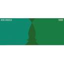 Meshell Ndegeocello - SYNONYM CD