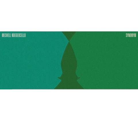 Meshell Ndegeocello - SYNONYM CD