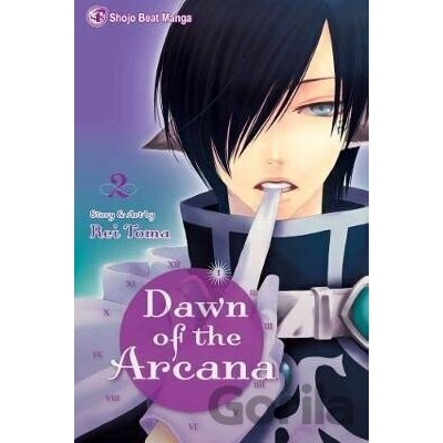 Dawn of the Arcana 2 - Rei Toma