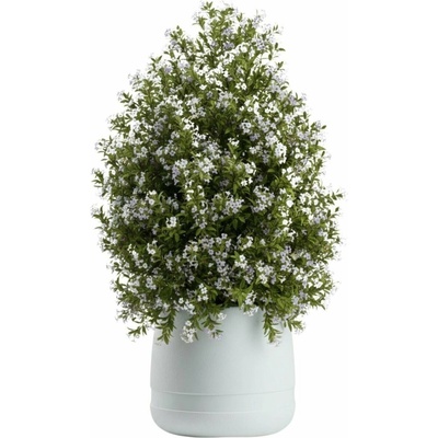 HowHomely PLASTOVÝ KVETINÁČ LUNA VASE 42X32 CM BIELA