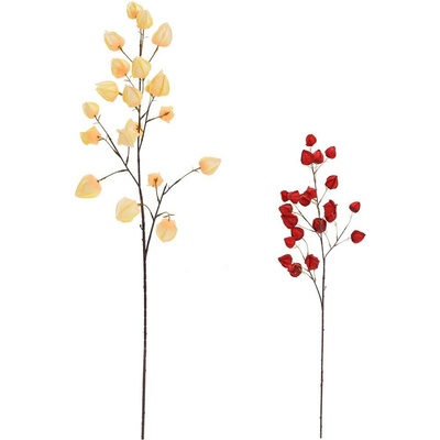 KONÁR PHYSALIS MIX/2F 98CM