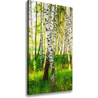 Vertikálny foto obraz canvas Brezový les 50x100 cm