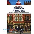 Brusel a Bruggy do kapsy - Lonely Planet