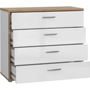 Konsimo Chicory 4S