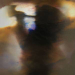 Animal Collective - Fall Be Kind (180 g) (12" EP) (801390024610)