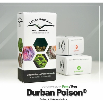 Dutch Passion Durban Poison semena neobsahují THC 5 ks