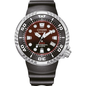 Citizen BN1024-01Z Часовници
