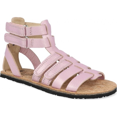 Koel Aura Met Pink