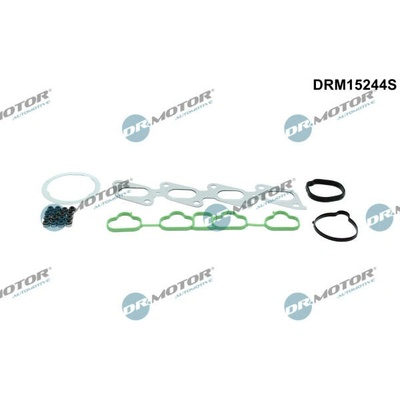 Sada těsnění, hlava válce Dr.Motor Automotive DRM15244S