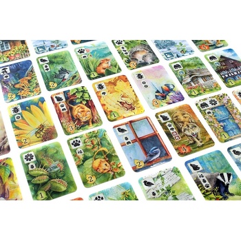Asmodee Na louce