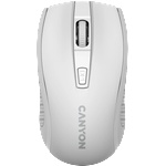 CANYON MW-7 (CNE-CMSW07W)