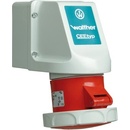 Walther 119
