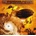TRANSATLANTIC: WHIRLWIND/STANDARD CD