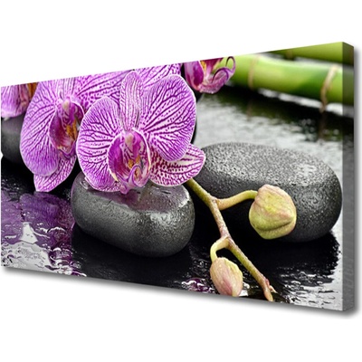Obraz Canvas Kamene zen orchidea kúpele 100x50 cm
