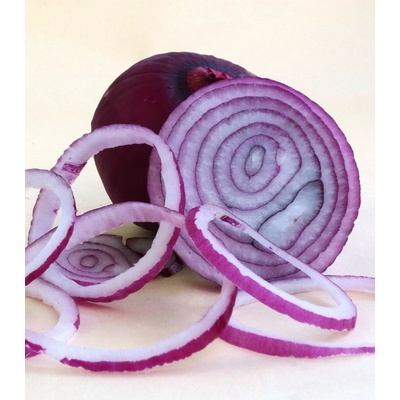 Cibule sazečka Karmen Allium cepa prodej cibulek 250 g