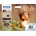 Epson Тонер Epson Tinte C13T37984010 Nr. 378XL Multipack BKYCMHMHC, черен и цветен (C13T37984010)