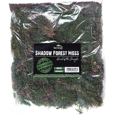 Terrario Shadow Forest Moss 35x30 cm – Zboží Mobilmania