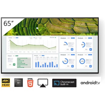 Sony Bravia FW-65BZ30L