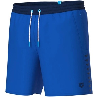 Arena Men's Team Stripe Beach Boxer