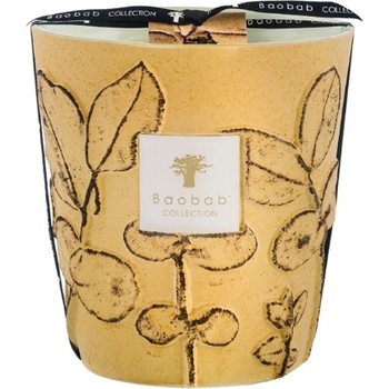 Baobab Collection Folia Garrigue Ароматна свещ 16 см (MAX16FGAR)
