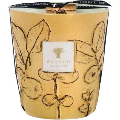 Baobab Collection Folia Garrigue Ароматна свещ 16 см (MAX16FGAR)