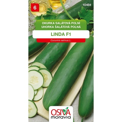 Okurka salátová - Linda F1