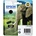 Epson T2421