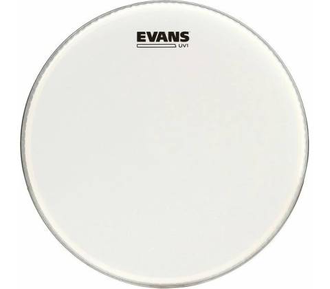 Evans BD20UV1