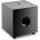 Focal Cub EVO