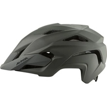 Alpina Kamloop coffee-grey matt 2022