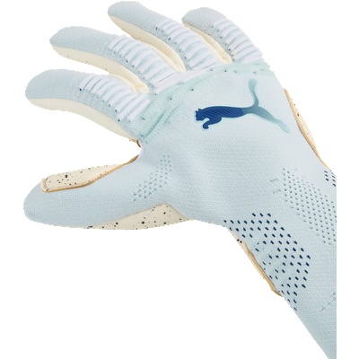 PUMA Future Ultimate NC Goalkeeper Gloves