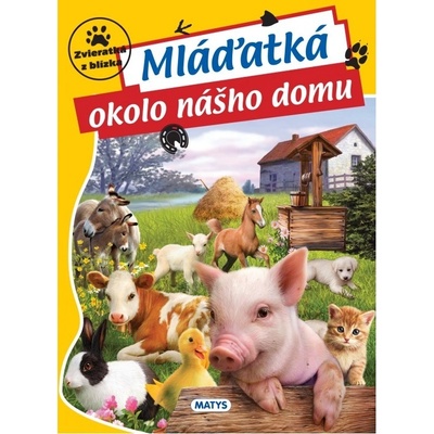 Mláďatká okolo nášho domu