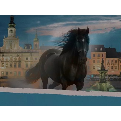 Záhada budějovických hradeb: Venkovní úniková hra