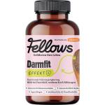 Fellows Супер добавка за храносмилане за кучета с протеин от насекоми Fellows Darmfit 200gr