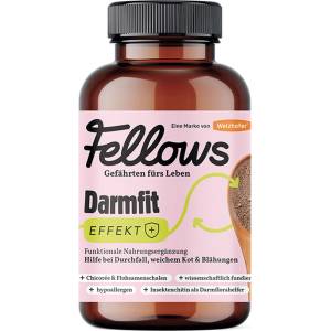 Fellows Супер добавка за храносмилане за кучета с протеин от насекоми Fellows Darmfit 200gr